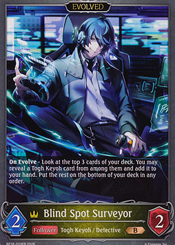 Blind Spot Surveyor (Evolved)