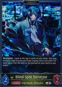 Blind Spot Surveyor (Evolved)