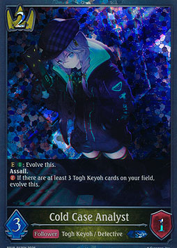 Cold Case Analyst