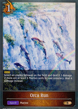 Orca Run