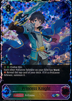 Princess Knight