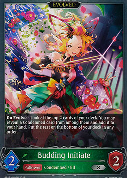 Budding Initiate (Evolved)