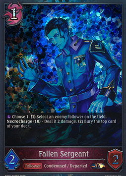 Fallen Sergeant