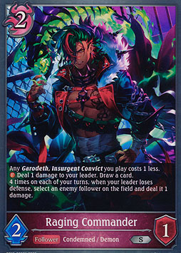 Raging Commander