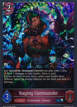 Raging Commander