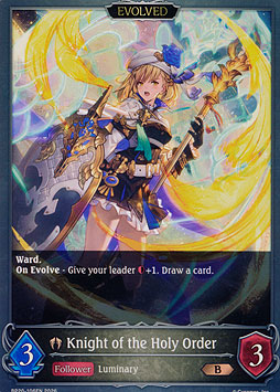 Knight of the Holy Order (Evolved)