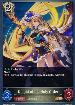 Knight of the Holy Order