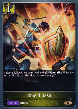 Shield Bash