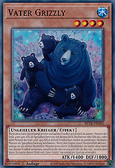 Vater Grizzly