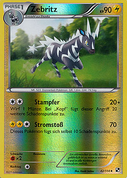 Zebritz