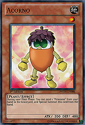 Acorno
