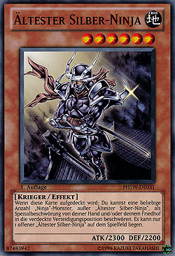Ältester Silber-Ninja