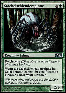 Stachelschleuderspinne