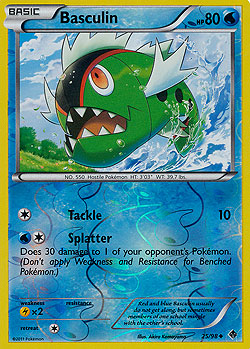 Basculin