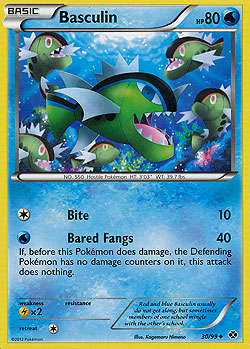 Basculin